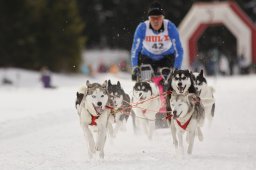 Lenzerheide 2013